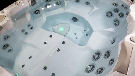 Гидромассажный спа бассейн Hydropool Self Cleaning 790 Platinum Гидромассажный спа бассейн Hydropool Self Cleaning 790 Platinum